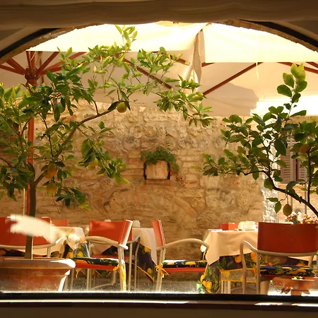 Leon Bianco San Gimignano